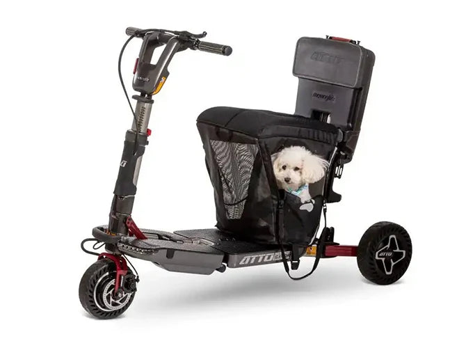 petcarrier.webp